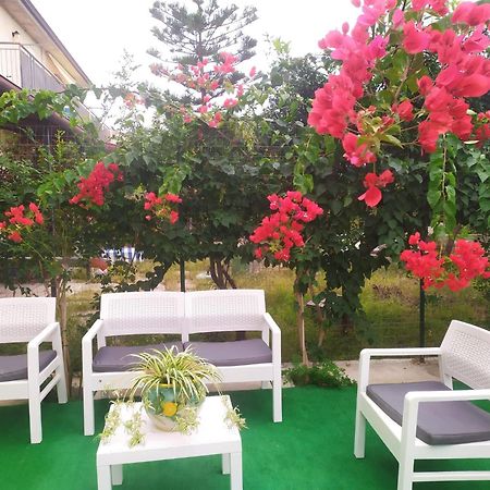 Casa Vacanza Alice & Mari Ascea Dış mekan fotoğraf