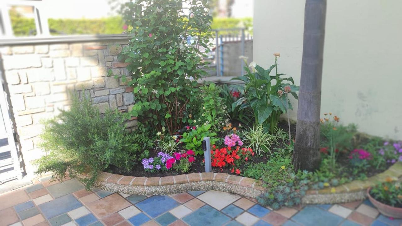 Casa Vacanza Alice & Mari Ascea Dış mekan fotoğraf