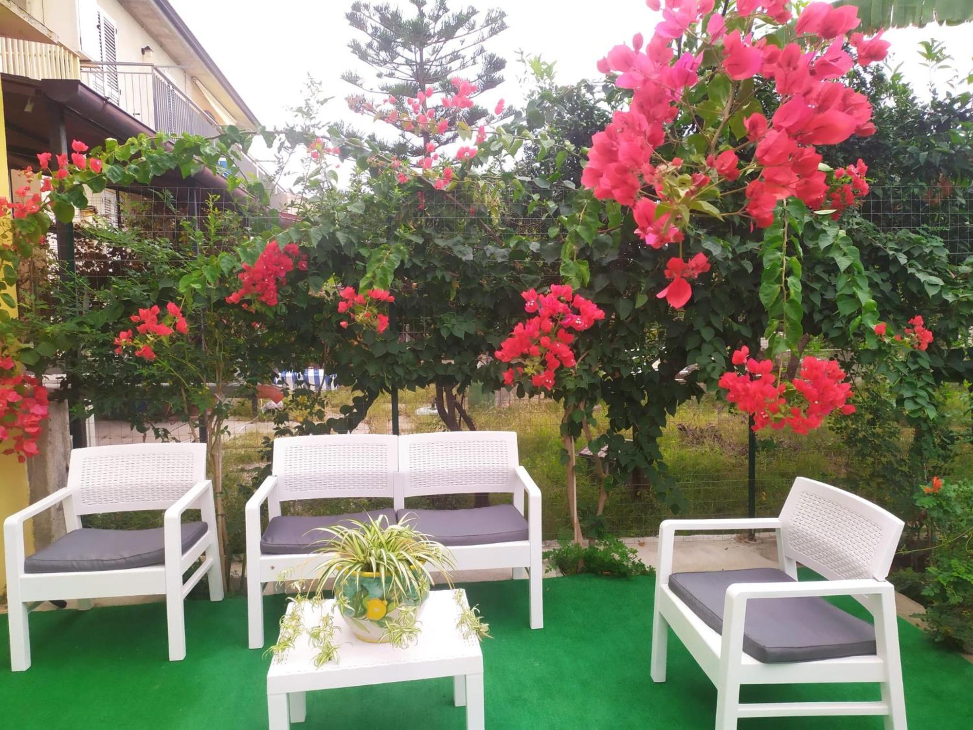 Casa Vacanza Alice & Mari Ascea Dış mekan fotoğraf