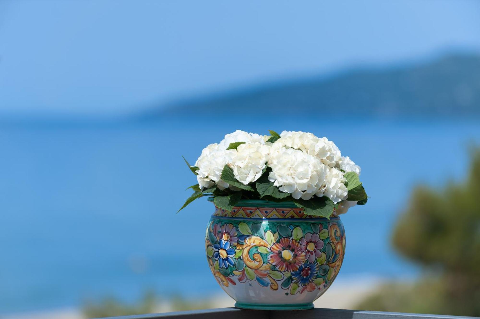 Casa Vacanza Alice & Mari Ascea Dış mekan fotoğraf
